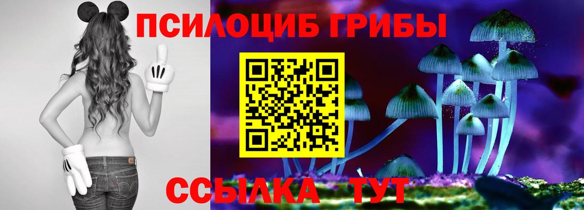 Выборг  Галлюциногенные грибы мухоморы  Вход с VPN  Галлюциногенные грибы GOLDEN TEACHER 