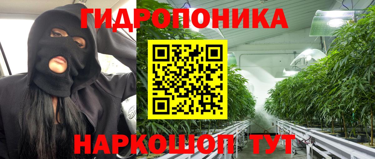 Бошки марихуана THC 21%  Бошки марихуана марихуана  Вход с VPN  Канабис сатива  Конопля THC 21%  Выборг 